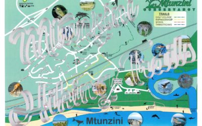 10 Things to do in Mtunzini on a BUDGET