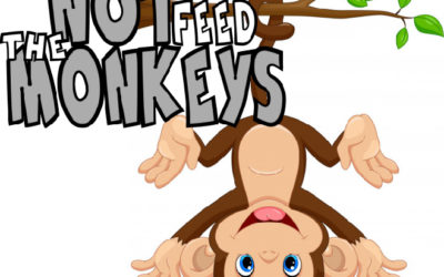 MONKEYS vs HUMANS THE DILEMMA IN MTUNZINI