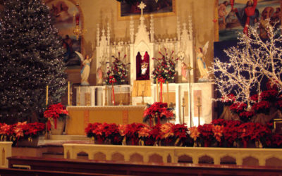 12 Fun Christmas Facts from all over the world.